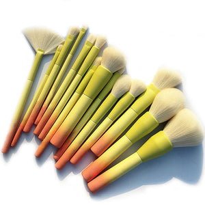 Pro Gradient 14pcs Makeup Brush Set