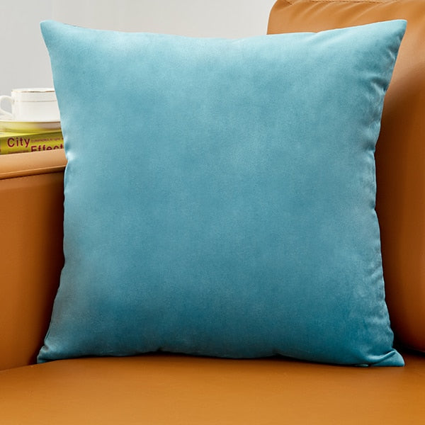 Velvet Cushion/Pillow Cover