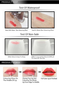 Waterproof  Long Lasting Lipstick