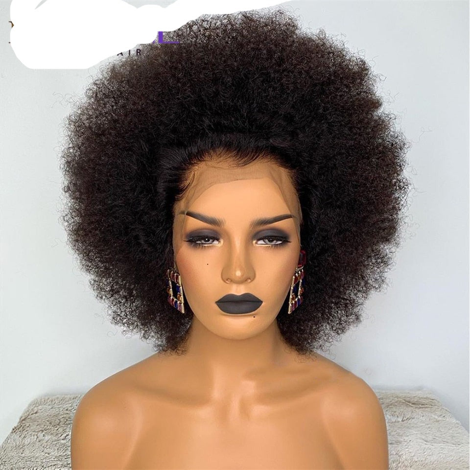 Curly Wig Pre-Plucked Lace Front